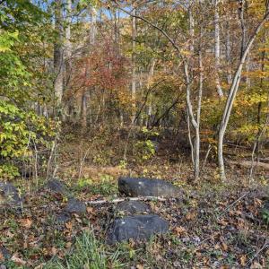 Photo #22 of GID BROWN HOLLOW, WASHINGTON, VA 27.9 acres