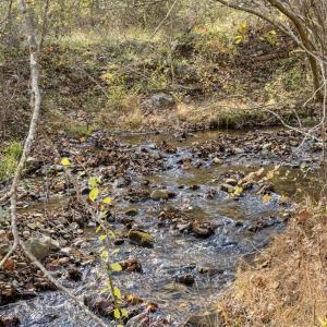 Photo #18 of GID BROWN HOLLOW, WASHINGTON, VA 27.9 acres