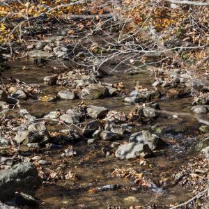 Photo #19 of GID BROWN HOLLOW, WASHINGTON, VA 27.9 acres