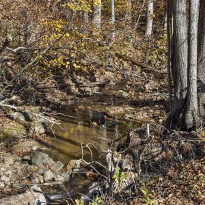 Photo #17 of GID BROWN HOLLOW, WASHINGTON, VA 27.9 acres