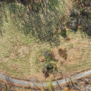 Photo #30 of GID BROWN HOLLOW, WASHINGTON, VA 27.9 acres