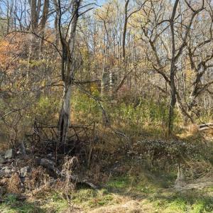 Photo #33 of GID BROWN HOLLOW, WASHINGTON, VA 27.9 acres