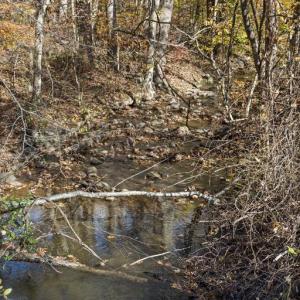 Photo #14 of GID BROWN HOLLOW, WASHINGTON, VA 27.9 acres