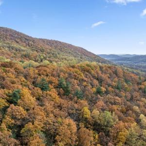 Photo #20 of GID BROWN HOLLOW, WASHINGTON, VA 27.9 acres