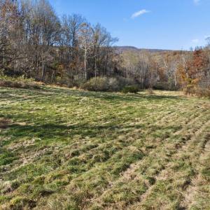 Photo #7 of GID BROWN HOLLOW, WASHINGTON, VA 27.9 acres