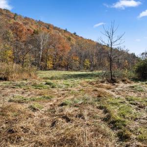 Photo #32 of GID BROWN HOLLOW, WASHINGTON, VA 27.9 acres