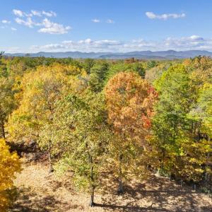 Photo #4 of LAUREL SPRINGS RD, CULPEPER, VA 6.6 acres