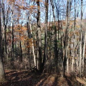 Photo #4 of OVERLOOK MOUNTAIN RD, ELKTON, VA 3.4 acres