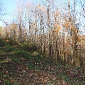 Photo #11 of OVERLOOK MOUNTAIN RD, ELKTON, VA 3.4 acres