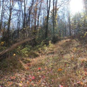 Photo #3 of OVERLOOK MOUNTAIN RD, ELKTON, VA 3.4 acres