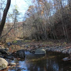 Photo #6 of OVERLOOK MOUNTAIN RD, ELKTON, VA 3.4 acres