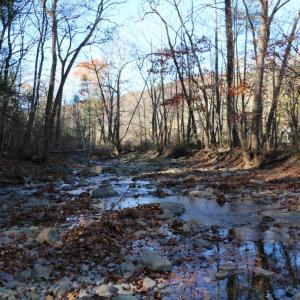 Photo #8 of OVERLOOK MOUNTAIN RD, ELKTON, VA 3.4 acres