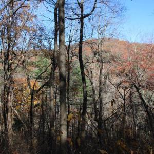 Photo #9 of OVERLOOK MOUNTAIN RD, ELKTON, VA 3.4 acres