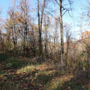 Photo #17 of OVERLOOK MOUNTAIN RD, ELKTON, VA 3.4 acres