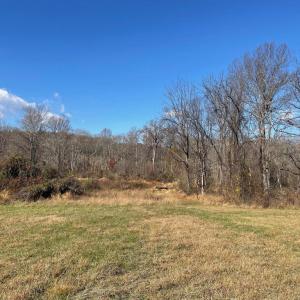 Photo #4 of O'BANNON ROAD, THE PLAINS, VA 18.3 acres