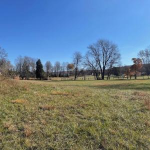 Photo #5 of O'BANNON ROAD, THE PLAINS, VA 18.3 acres