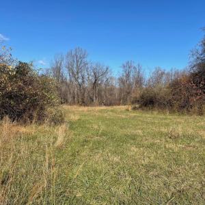 Photo #6 of O'BANNON ROAD, THE PLAINS, VA 18.3 acres