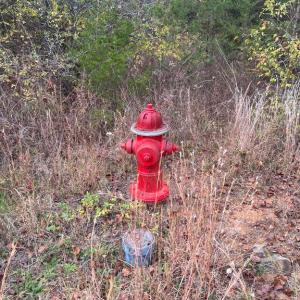 Photo #5 of 11000 PIERSON DR, FREDERICKSBURG, VA 2.1 acres