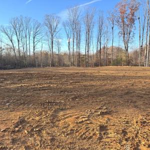 Photo #1 of RAPIDAN FARMS DRIVE, LIGNUM, VA 10.0 acres