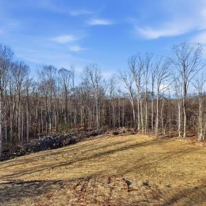 Photo #5 of RAPIDAN FARMS DRIVE, LIGNUM, VA 10.0 acres