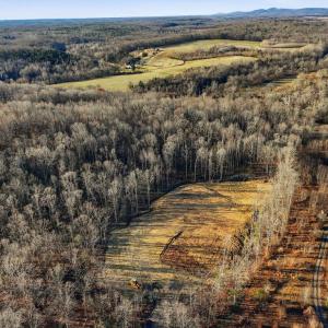 Photo #2 of RAPIDAN FARMS DRIVE, LIGNUM, VA 10.0 acres
