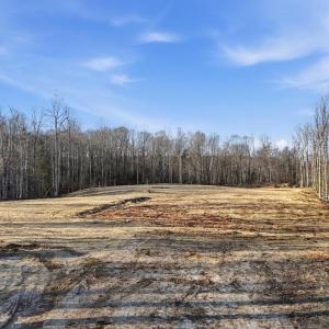 Photo #7 of RAPIDAN FARMS DRIVE, LIGNUM, VA 10.0 acres