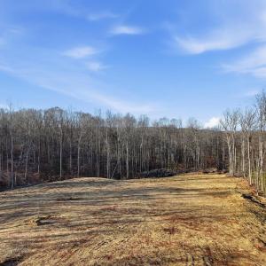 Photo #8 of RAPIDAN FARMS DRIVE, LIGNUM, VA 10.0 acres