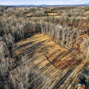 Photo #9 of RAPIDAN FARMS DRIVE, LIGNUM, VA 10.0 acres