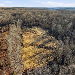 Photo #10 of RAPIDAN FARMS DRIVE, LIGNUM, VA 10.0 acres