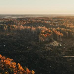 Photo #16 of 12600 W CATHARPIN RD, SPOTSYLVANIA, VA 312.0 acres