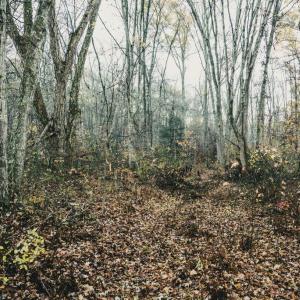 Photo #26 of 12600 W CATHARPIN RD, SPOTSYLVANIA, VA 312.0 acres