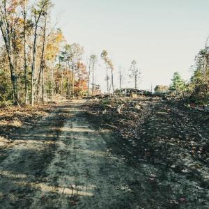 Photo #39 of 12600 W CATHARPIN RD, SPOTSYLVANIA, VA 312.0 acres