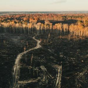 Photo #5 of 12600 W CATHARPIN RD, SPOTSYLVANIA, VA 312.0 acres