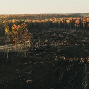 Photo #10 of 12600 W CATHARPIN RD, SPOTSYLVANIA, VA 312.0 acres