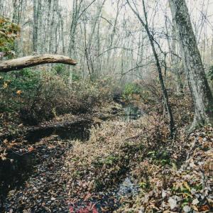 Photo #28 of 12600 W CATHARPIN RD, SPOTSYLVANIA, VA 312.0 acres