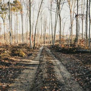 Photo #40 of 12600 W CATHARPIN RD, SPOTSYLVANIA, VA 312.0 acres