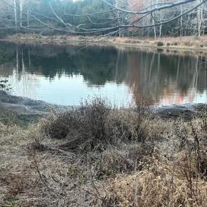 Photo #2 of MITCHELL FORD RD, LIGNUM, VA 96.5 acres