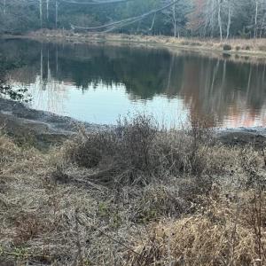 Photo #3 of MITCHELL FORD RD, LIGNUM, VA 96.5 acres