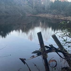 Photo #4 of MITCHELL FORD RD, LIGNUM, VA 96.5 acres