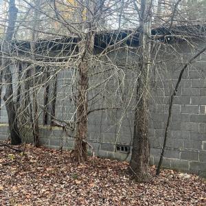 Photo #6 of MITCHELL FORD RD, LIGNUM, VA 96.5 acres