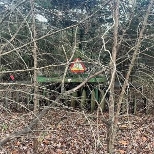 Photo #16 of MITCHELL FORD RD, LIGNUM, VA 96.5 acres