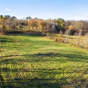 Photo #6 of 3383 LOST CORNER RD, DELAPLANE, VA 20.0 acres