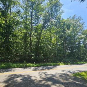 Photo #5 of JACKS SHOP RD, MADISON, VA 5.5 acres