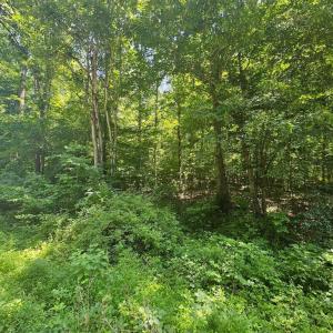 Photo #7 of JACKS SHOP RD, MADISON, VA 5.5 acres