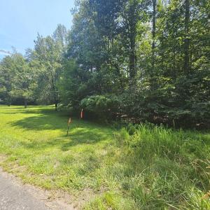 Photo #8 of JACKS SHOP RD, MADISON, VA 5.5 acres