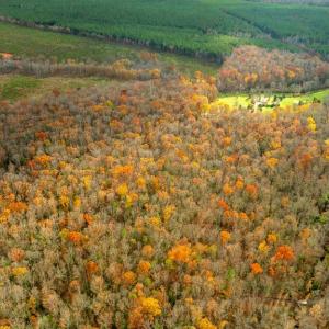 Photo #6 of 14100 CEDAR PLANTATION RD, SPOTSYLVANIA, VA 30.1 acres