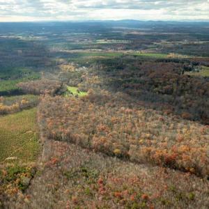 Photo #9 of 14100 CEDAR PLANTATION RD, SPOTSYLVANIA, VA 30.1 acres