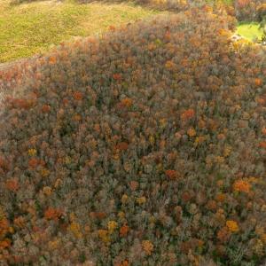 Photo #2 of 14100 CEDAR PLANTATION RD, SPOTSYLVANIA, VA 30.1 acres