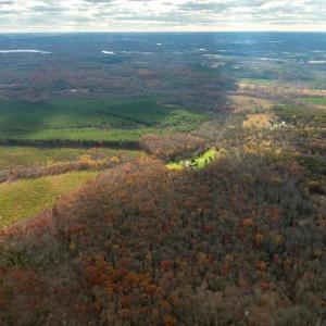 Photo #3 of 14100 CEDAR PLANTATION RD, SPOTSYLVANIA, VA 30.1 acres