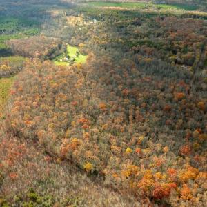 Photo #7 of 14100 CEDAR PLANTATION RD, SPOTSYLVANIA, VA 30.1 acres
